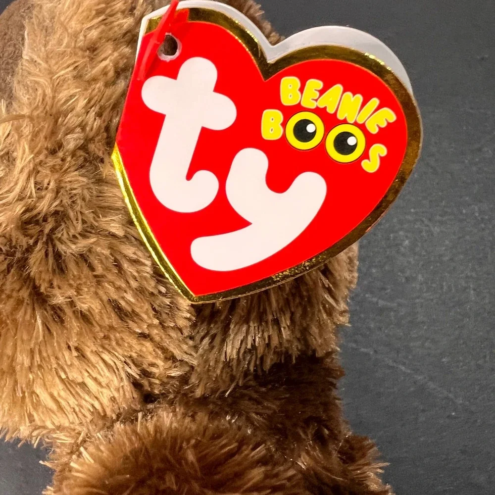 Ty 6